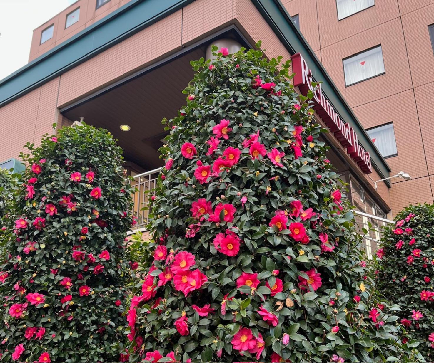 Richmond Hotel Tokyo Musashino Exterior photo